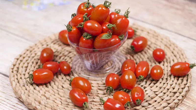 Bảo quản cà chua bi sau thu hoạch