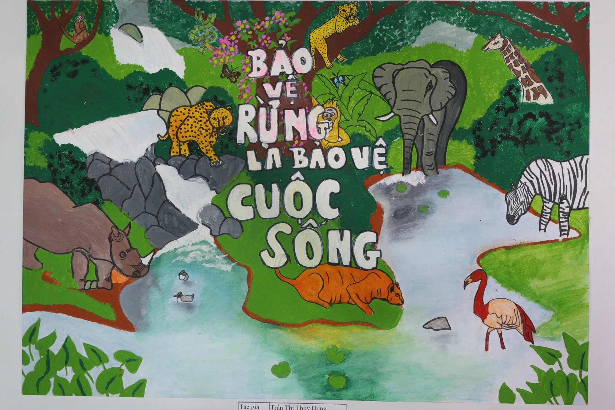 Các loài động vật hoang dã cần được bảo vệ môi trường sống tự nhiên