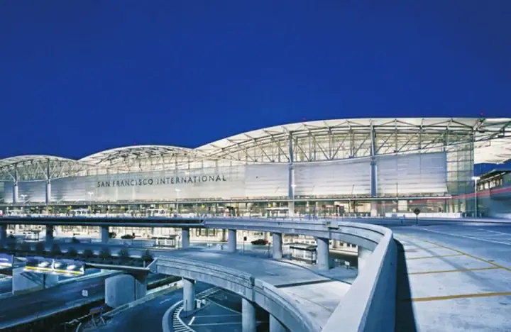 Đảm bảo cây Lộc Vừng đủ ánh sáng gián tiếp để quang hợp