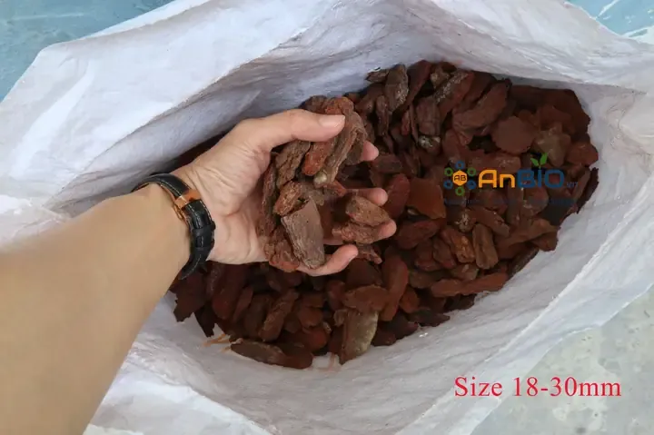 Kỹ thuật tưới nước cho lan trồng bằng vỏ thông đúng cách