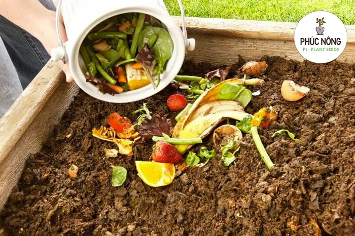 Làm đất hữu cơ trồng rau từ rác thải nhà bếp