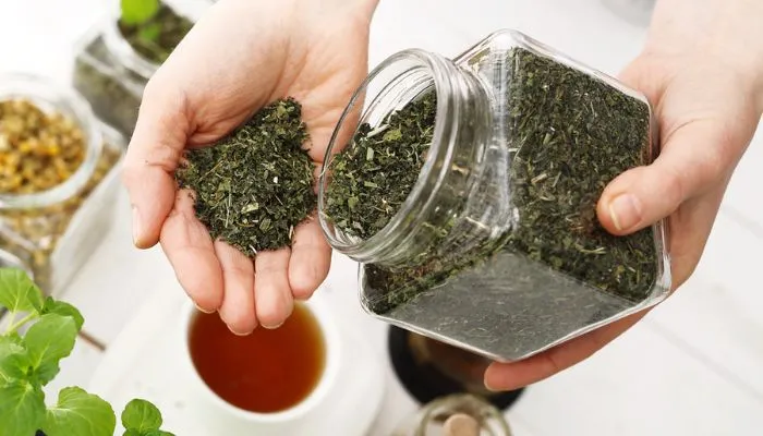 Gợi ý cách làm lá trà xanh khô tại nhà đơn giản