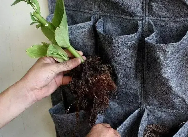 Sơ Đồ Lắp Đặt Hệ Thống Vườn Đứng Với Túi Vải Treo Tường