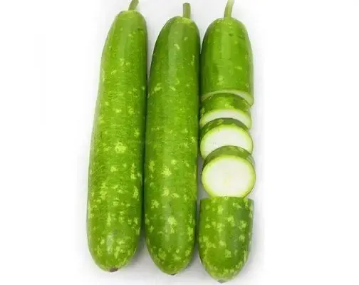 Thu hoạch bầu sao đúng thời điểm để đảm bảo chất lượng và năng suất