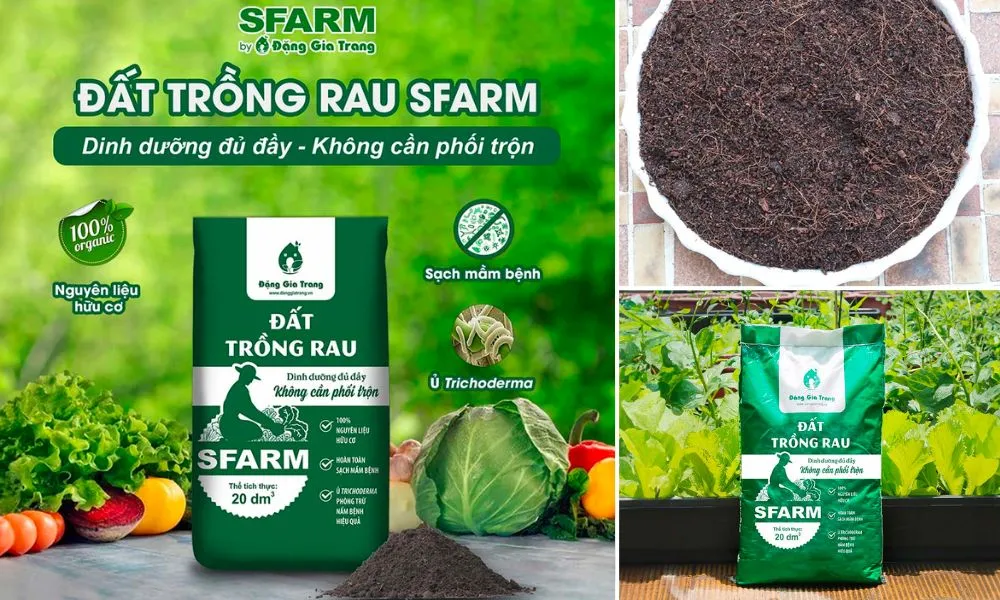 Đất trồng phù hợp để trồng rau củ