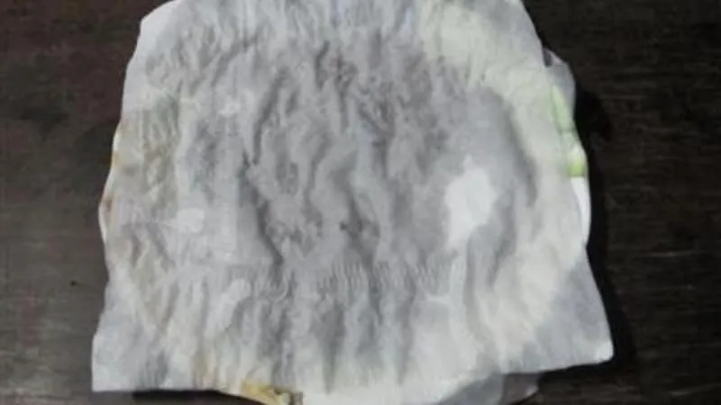 Quy trình ủ hạt giống cải bó xôi bằng khăn ẩm để nảy mầm