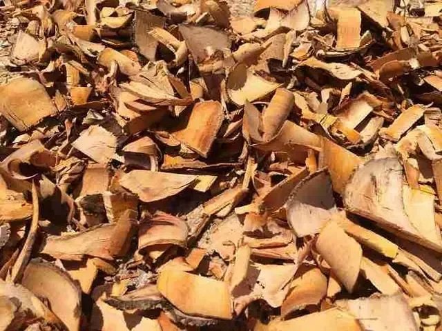 Biá»‡n PhÃ¡p PhÃ²ng Trá»« Tá»•ng Há»£p