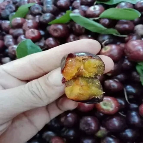 Trá»“ng CÃ¢y Con Tá»« VÆ°á»n Æ¯Æ¡m Ra Äáº¥t