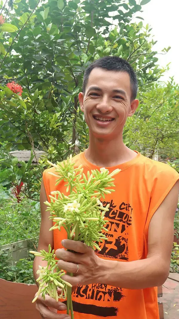 Kỹ thuật gieo ươm hạt giống đu đủ đực