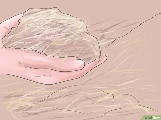 Thêm lớp che phủ để bảo vệ bộ rễ cây khi áp dụng cách trồng cây hướng trọng lực