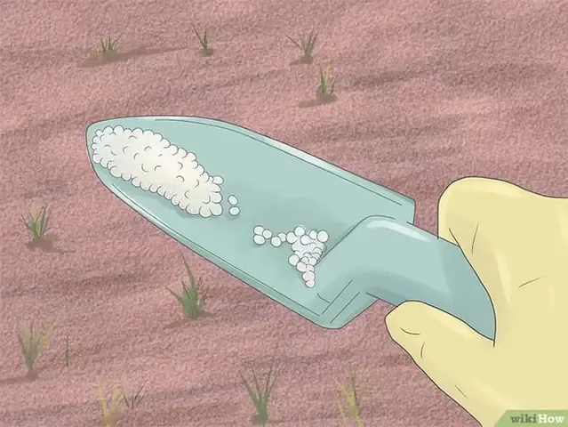 Bón phân cho cây theo cách trồng cây hướng trọng lực để đảm bảo dinh dưỡng