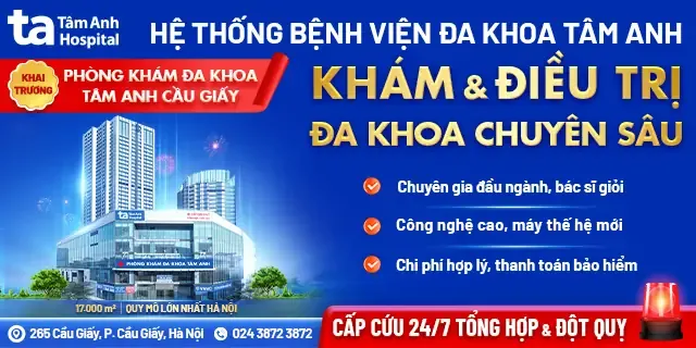 Hạt giống cây mâm xôi đỏ đã qua xử lý ủ lạnh