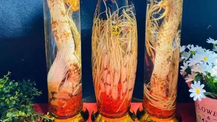 5 lưu ý khi sử dụng nhục thung dung và cách trồng