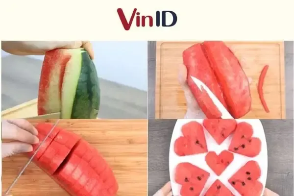 Hình ảnh minh họa một nhánh cây tùng lá kim có hình dáng cong mềm mại