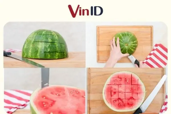 Hình ảnh cây tùng con mới nảy mầm trong khay ươm cho thấy kỹ thuật trồng cây tùng lá kim