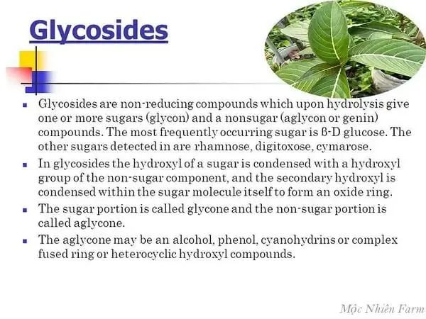 Các loại đất và chậu phù hợp khi trồng cây xăng sê
