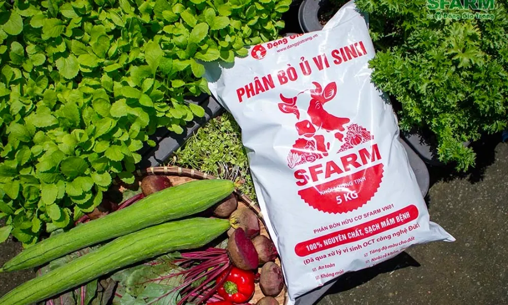 Các loại phân hữu cơ để bón cho hành lá