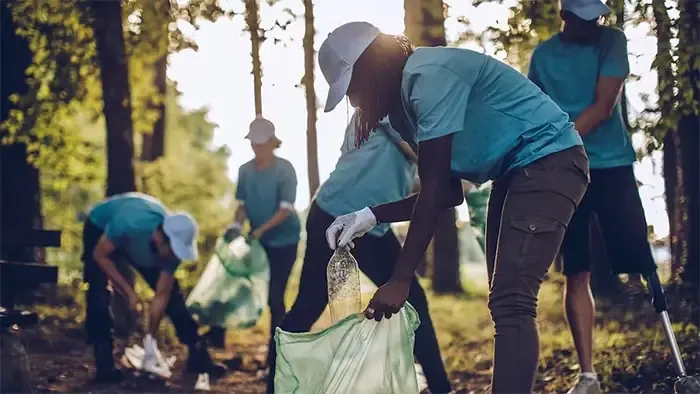 Không gian trang trí với hoa chuông tình yêu buông rủ