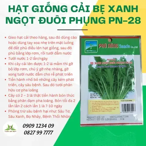 Phòng trừ rệp sáp và nhện đỏ bằng dung dịch hữu cơ để cây hoa đuôi phụng phát triển khỏe mạnh