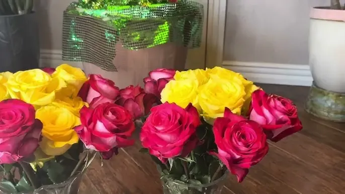 Quy trình trồng hoa hồng thương phẩm hiệu quả cho người mới bắt đầu