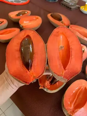 Những Ưu Điểm Của Hồng Xiêm Ruột Đỏ Khổng Lồ