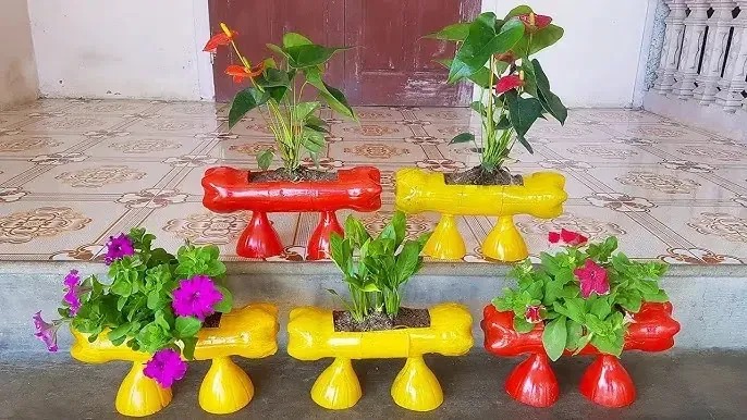 Cây cảnh mini để bàn được trang trí tinh tế