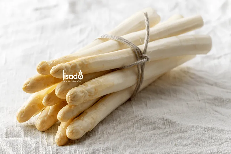 Cây măng tây con đang phát triển trong bầu ươm