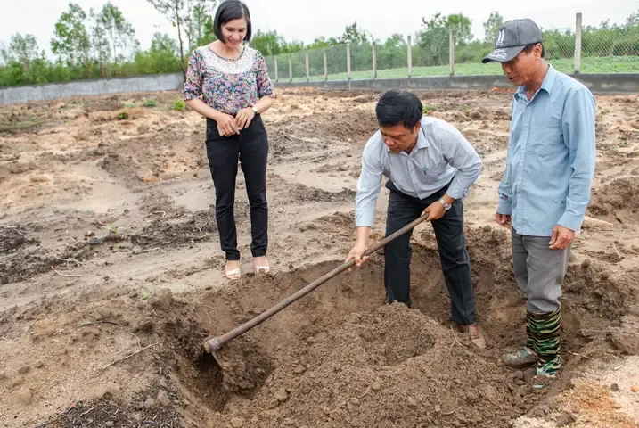 Đào Hố, Làm Đất Trồng Mít Thái Ruột Đỏ Chuẩn Kỹ Thuật