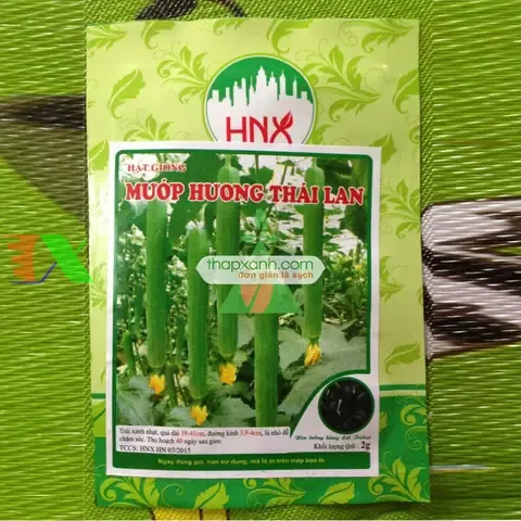 Hạt Giống Mướp Hương Thái Lan Chất Lượng Cao