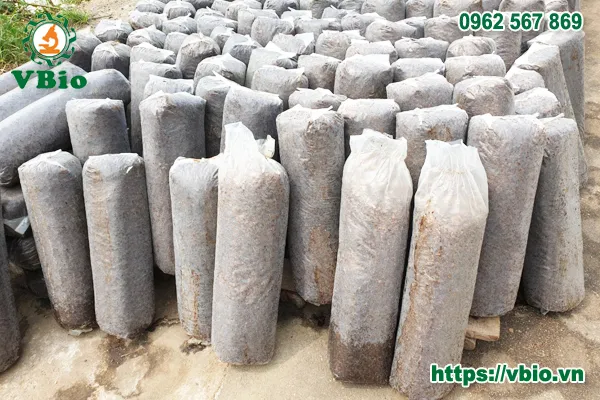 Nhà ươm nấm rơm với hệ thống giàn nhiều tầng tiêu chuẩn