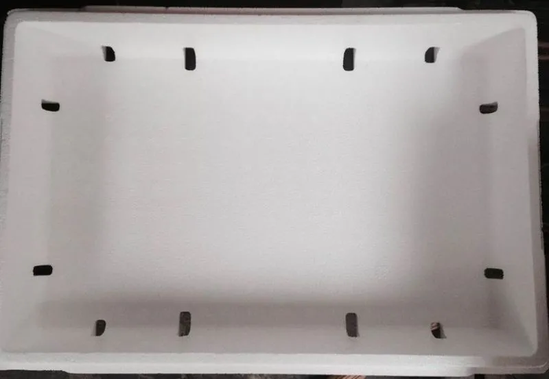 CÃ¡ch trá»“ng rau muá»‘ng trong thÃ¹ng xá»‘p Ä‘Æ¡n giáº£n vÃ  dá»… thá»±c hiá»‡n