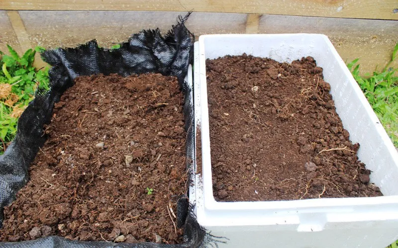 Cáº£nh Ä‘áº·t thÃ¹ng xá»‘p ráº¥t nhiá»u Ã¡nh sÃ¡ng vÃ  cÃ³ mÃ¡i che lá»›p lá»›i bÃ¬a Ä‘á»ƒ trá»“ng rau muá»‘ng