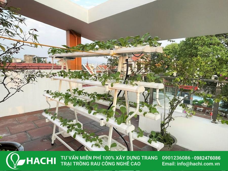 Cách Làm Đất Trồng Rau Trên Sân Thượng Chuẩn Nhất Đảm Bảo Năng Suất Cao