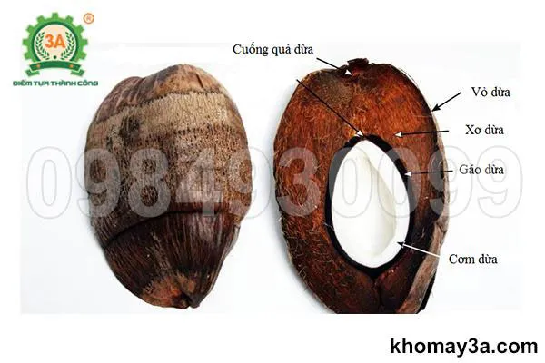 Cách xử lý xơ dừa trồng cây