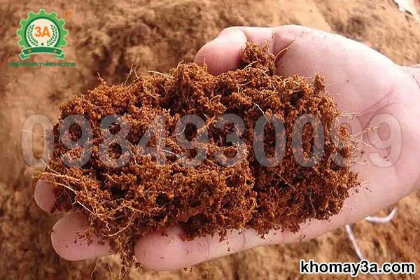 Giá thể xơ dừa trồng cây