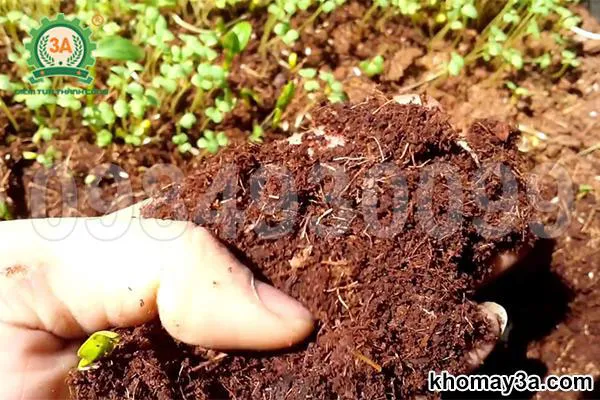 xơ dừa trồng cây