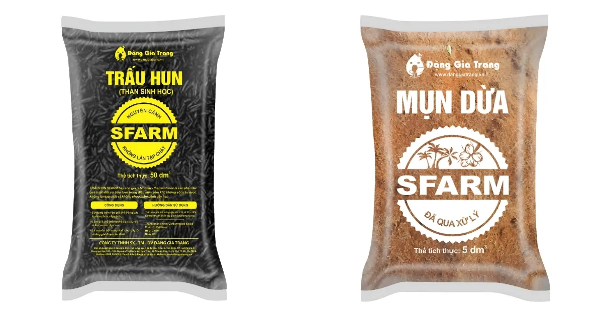 Sử dụng trấu hun và xơ dừa trong việc phối trộn giá thể, bước then chốt trong cách trồng cây chuối mini