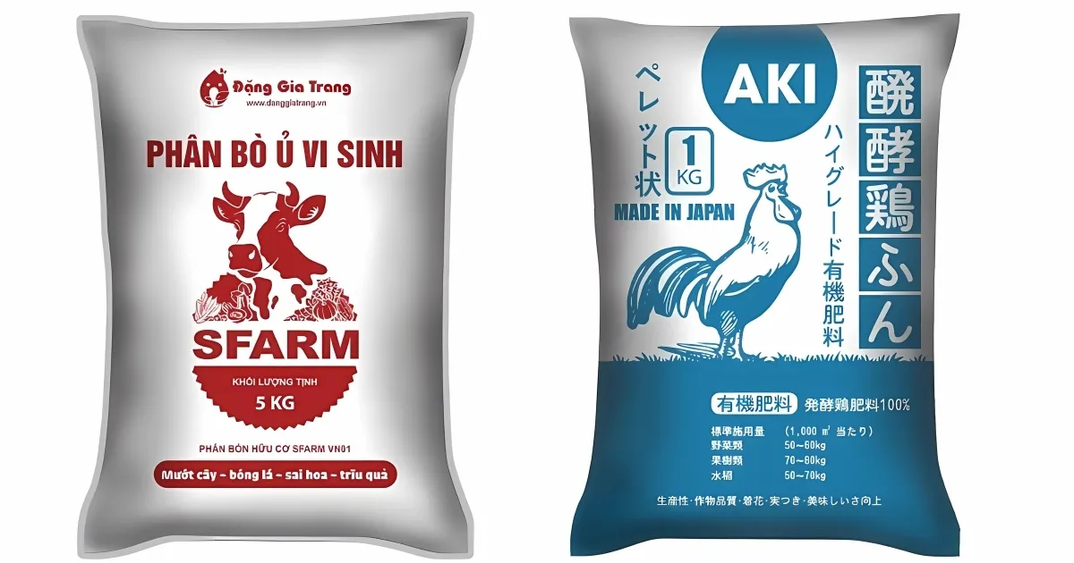 Bón phân hữu cơ cho cây chuối mini giúp cây phát triển khỏe mạnh, là một phần quan trọng của cách trồng cây chuối mini