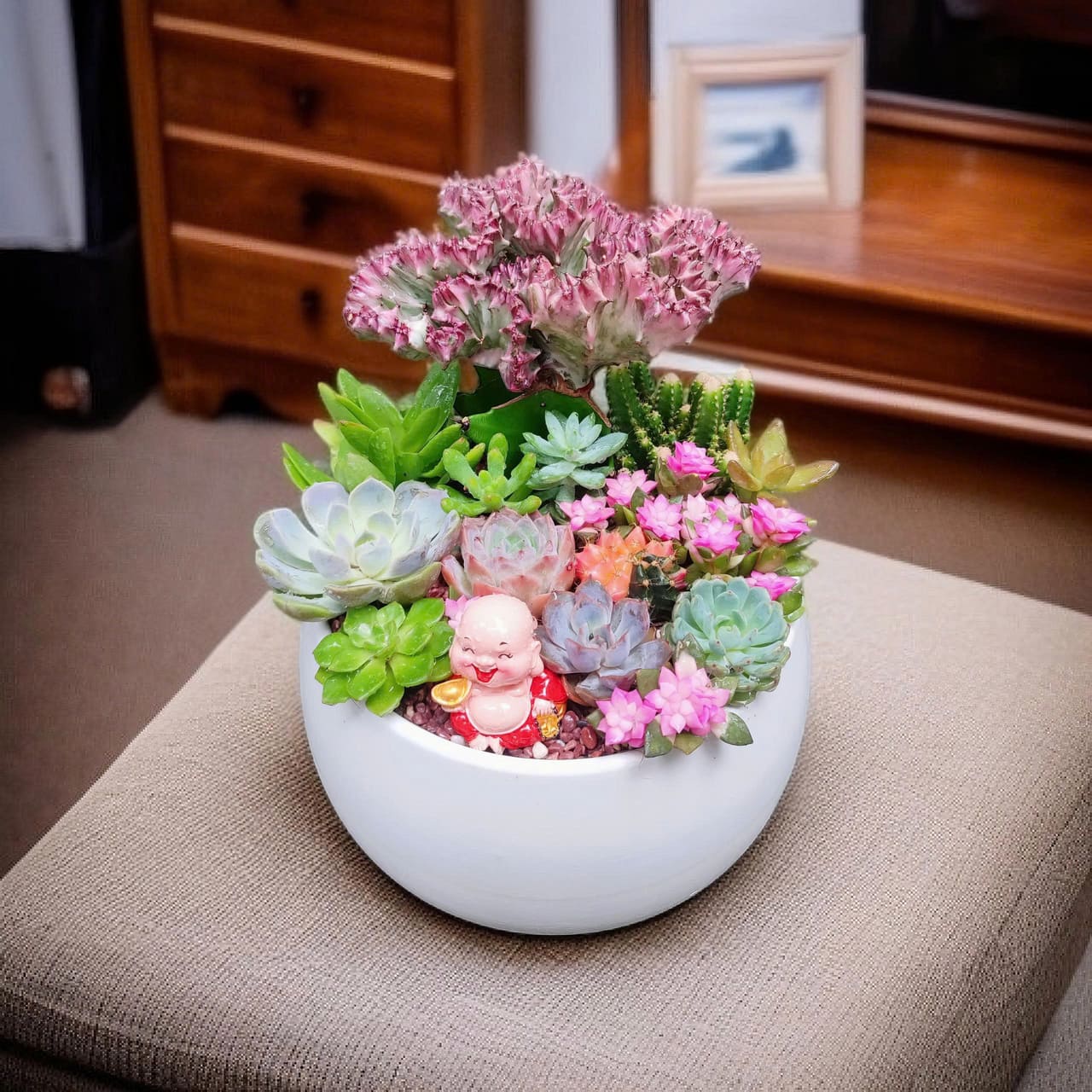 Cách Trồng Cúc Họa Mi Trong Chậu: Kỹ Thuật Chăm Sóc Đạt Chuẩn Hoa Nở Rộ