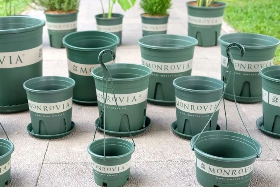 Thiết Kế Hệ Thống Thoát Nước Cho Chậu Trồng Cây Ăn Quả Trên Sân Thượng