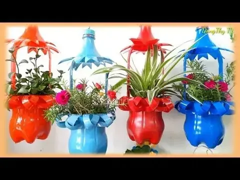 Chậu trồng tía tô tự tưới nước từ chai nhựa tái chế