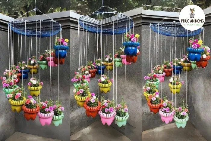 Trồng hoa mười giờ sáng tạo hình chuông gió