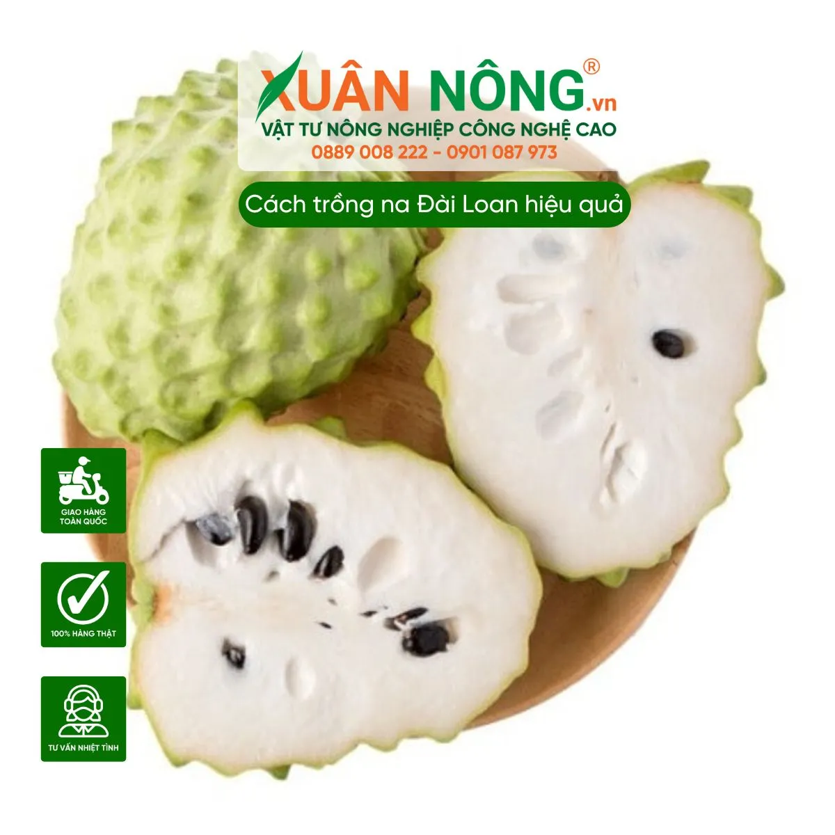 Na Đài Loan có đặc điểm quả to, vị ngọt và hương thơm đặc trưng