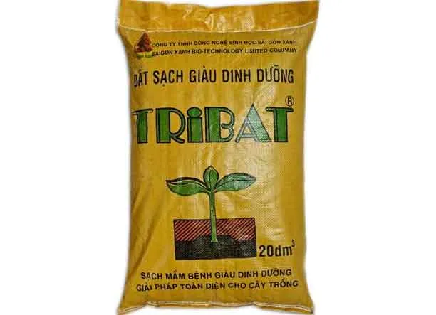 Cách Trồng Dưa Chuột Baby Kappa Sai Quả Hiệu Quả Nhất Tại Nhà