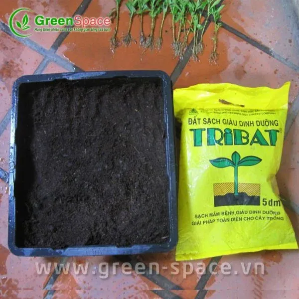 Bao bì đất Tribat chuyên dùng cho trồng cây cảnh và rau sạch