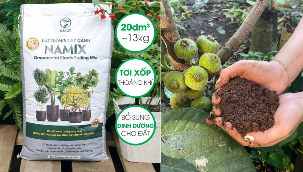 Đất trồng tơi xốp