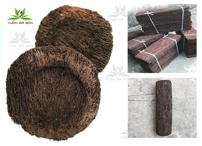 Dớn bảng, dớn đĩa, dớn trụ được cắt sẵn để ghép lan