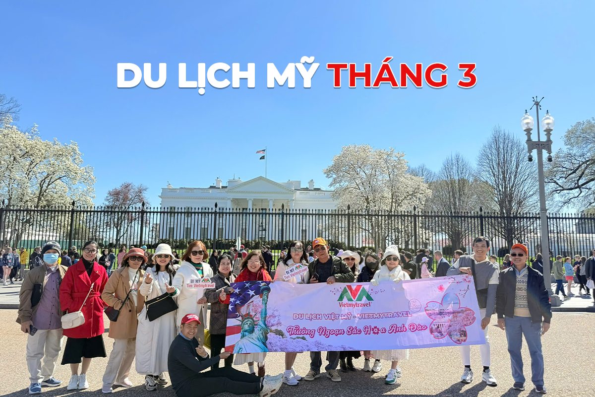 Khám Phá Vũ Garden Bình Dương: Thiên Đường Cây Cảnh, Hoa Hồng Và Góc Chụp Ảnh Phong Cách Châu Âu