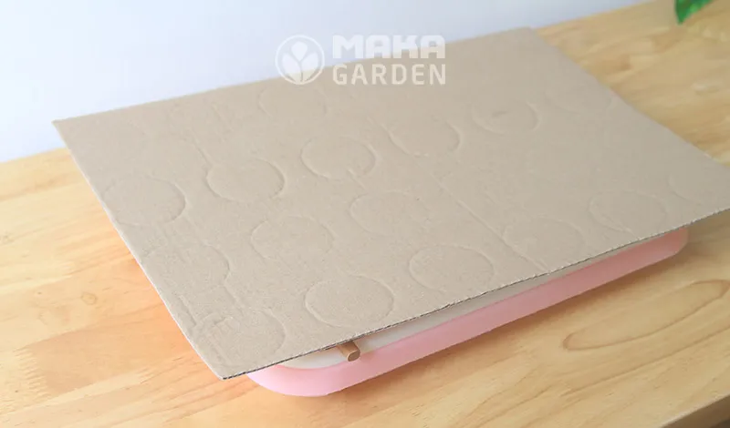 Dùng một tấm bìa cứng che kín lên trên khay trồng rau mầm để tạo điều kiện tối và giữ ẩm cho hạt nảy mầm