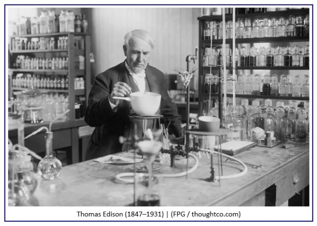 Học Cách Trồng Lan Móng Rùa Toàn Diện Cho Người Mới Bắt Đầu